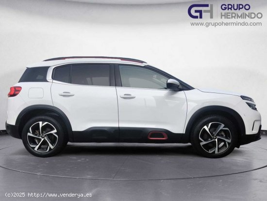 Citroën C5 Aircross FEEL BLUE HDI 130 CV - Ponteareas