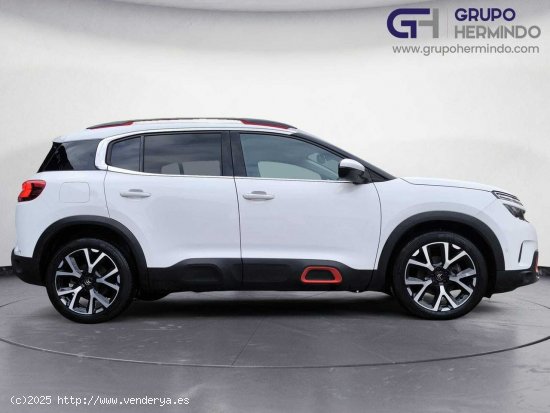 Citroën C5 Aircross FEEL BLUE HDI 130 CV - Ponteareas