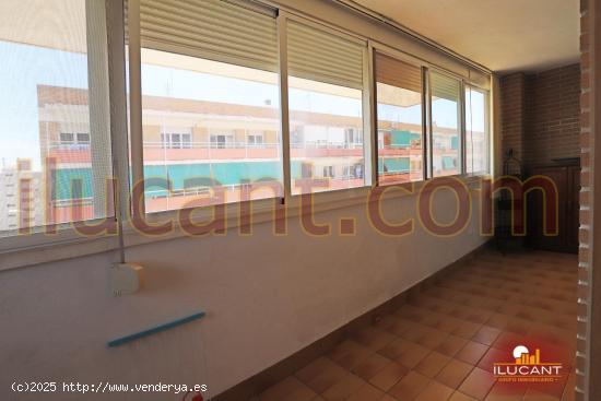 Se Vende en Alicante - ALICANTE