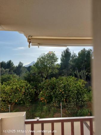 APARTAMENTO EN ALTEA  LA VELLA - ALICANTE