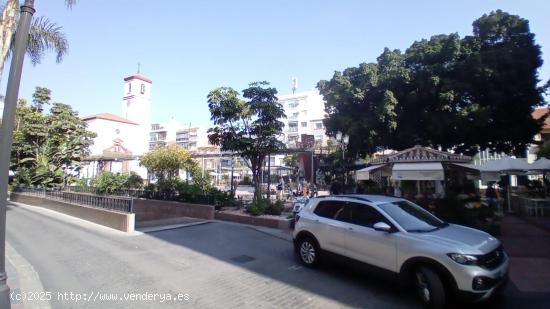 Alquiler local en pleno centro - MALAGA