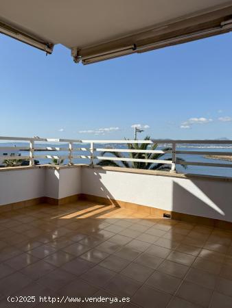 Apartamento en alquiler en primera línea de mar - Cala Estancia - BALEARES