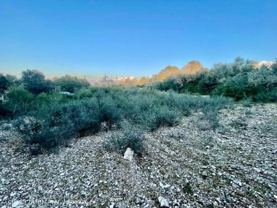 TERRENO NO EDIFICABLE - BALEARES