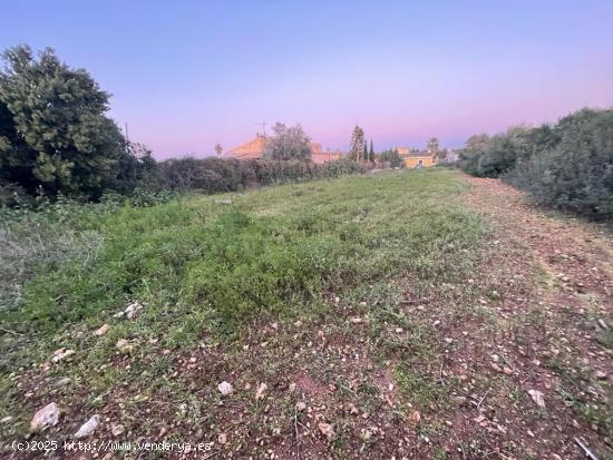 TERRENO NO EDIFICABLE EN MANACOR - BALEARES