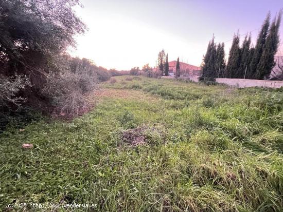 TERRENO NO EDIFICABLE EN MANACOR - BALEARES