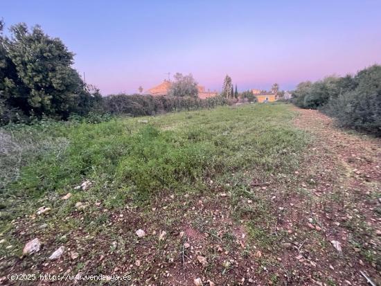 TERRENO NO EDIFICABLE EN MANACOR - BALEARES