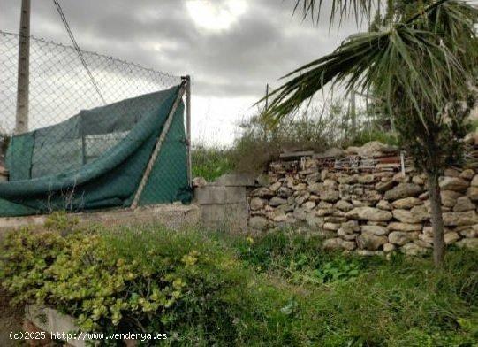 TERRENO URBANO EN SAN JUAN ALICANTE - ALICANTE