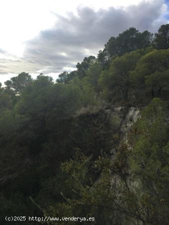 TERRENO URBANIZABLE EN FINESTRAT - ALICANTE