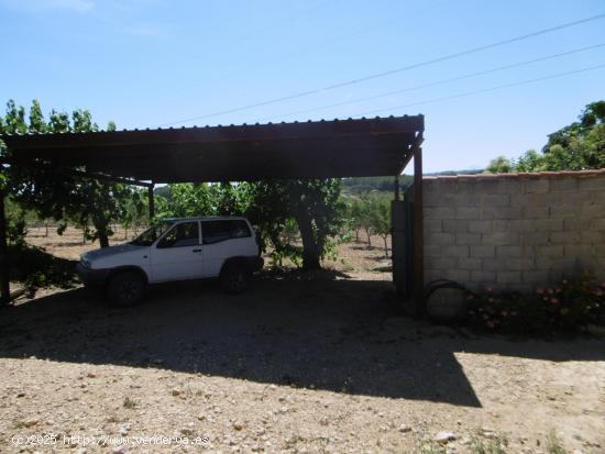 FINCA RUSTICA CON POZO DE AGUA ABUNDANTE, BALSA, CASETA Y LUZ DE RED - CASTELLON