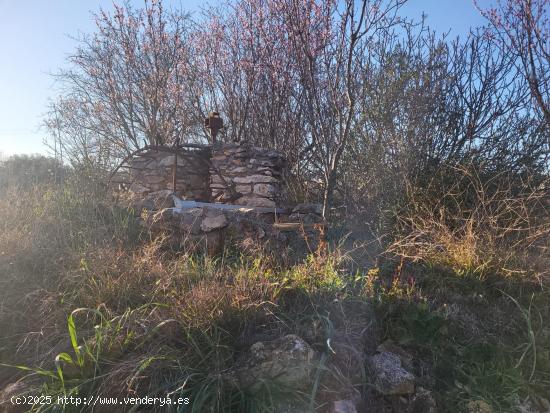 FINCA RUSTICA DE REGADIO CON NORIA CERCA DEL PUEBLO - CASTELLON