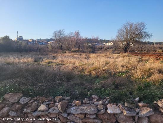 FINCA RUSTICA DE REGADIO CON NORIA CERCA DEL PUEBLO - CASTELLON