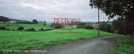 AMPLIO TERRENO URBANIZABLE EN CUBAS. RIBAMONTAN AL MONTE. - CANTABRIA