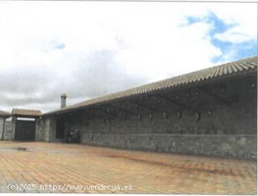 Finca con explotacion y zona de recreo - SEGOVIA