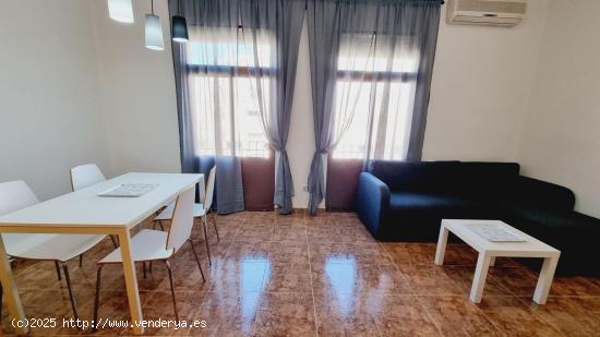 Alquiler de Vivienda, Av. Regne de Valencia. - VALENCIA