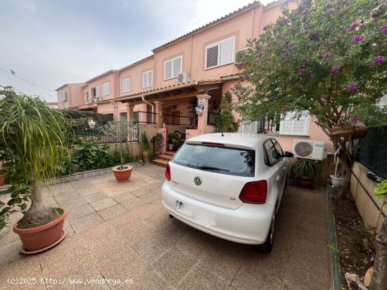 ADOSADO EN EL SECAR DELA REAL - BALEARES