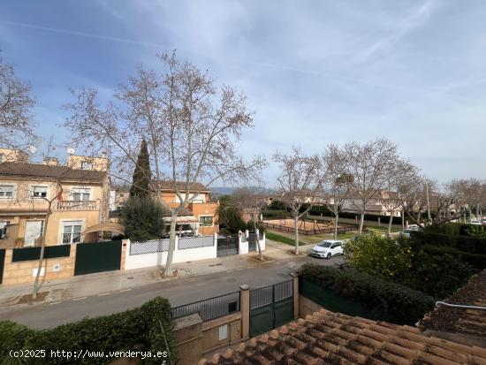 ADOSADO EN EL SECAR DELA REAL - BALEARES