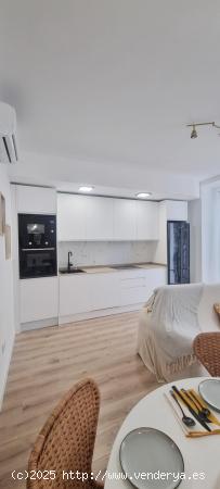  Piso de Diseño en Venta en La Latina (Madrid): - MADRID