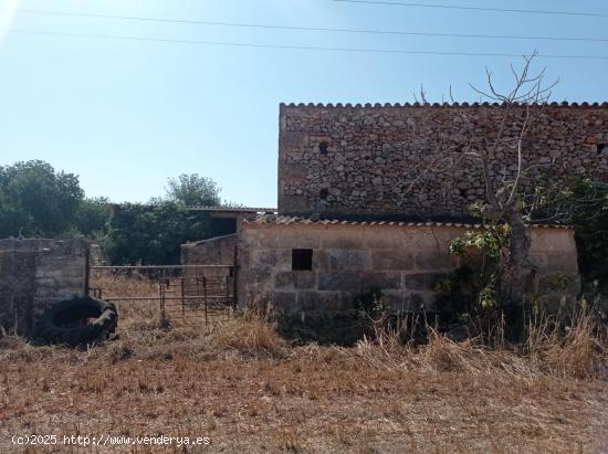 FINCA RÚSTICA CON LICENCIA EN TRÁMITE - BALEARES