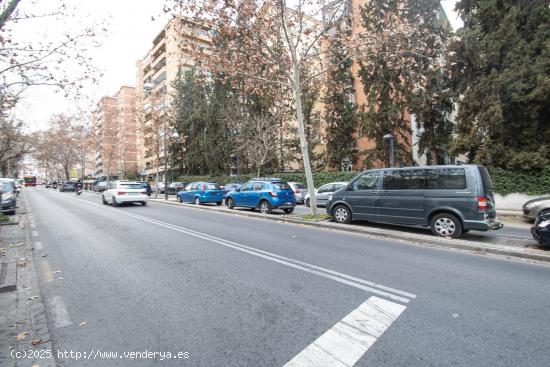 Se Alquila Local Comercial en Zona Cervantes/Bola de Oro – Granada - GRANADA