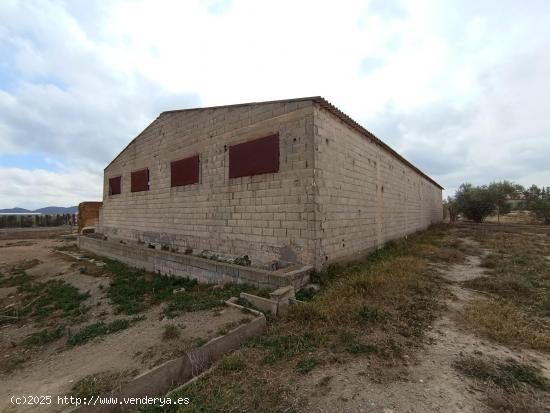 NAVE CON TERRENO JUNTO A PUERTO LUMBRERAS - MURCIA