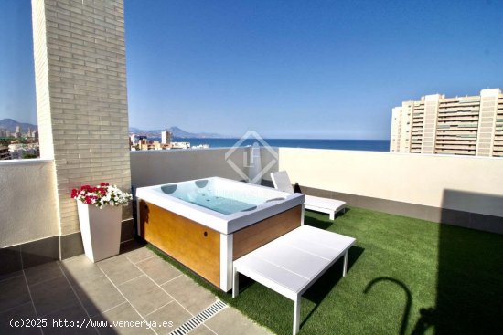 Apartamento en alquiler en El Campello (Alicante)