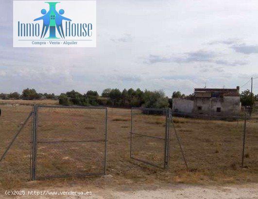 Inmohouse vende terreno en paraje da casas viejas (Albacete) - ALBACETE