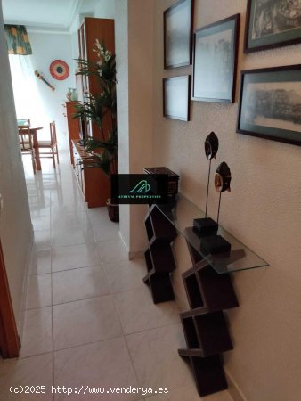 Apartamento en alquiler en Torrevieja (Alicante)