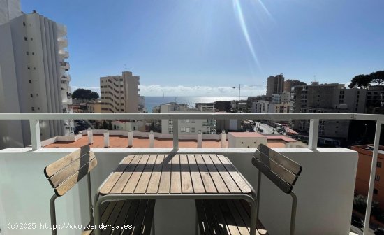 Apartamento en alquiler en Palma de Mallorca (Baleares)