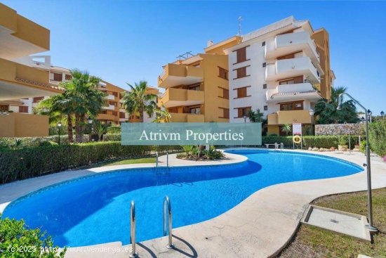  Apartamento en alquiler en Orihuela (Alicante) 