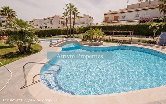  Apartamento en alquiler en Torrevieja (Alicante) 