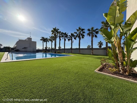 Casa en venta en Torrevieja (Alicante)