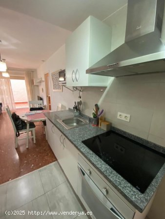 Apartamento en alquiler en Granada (Granada)