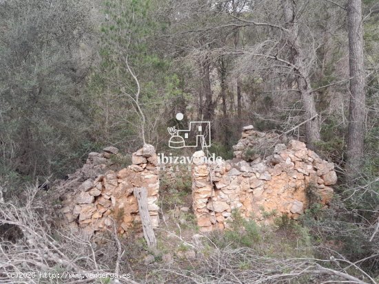 Parcela en venta en Sant Joan de Labritja (Baleares)