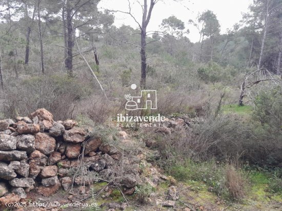 Parcela en venta en Sant Joan de Labritja (Baleares)