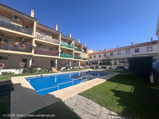  Piso en alquiler en Alhaurín de la Torre (Málaga) 