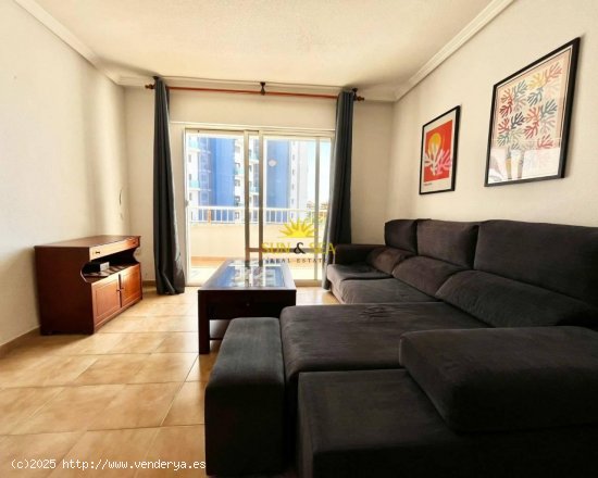 Apartamento en alquiler en Torrevieja (Alicante)