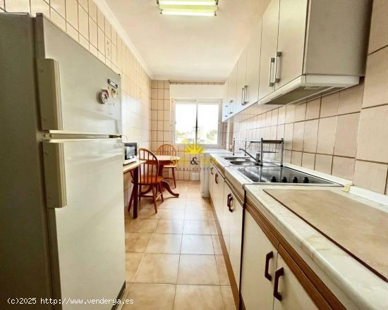 Apartamento en alquiler en Torrevieja (Alicante)