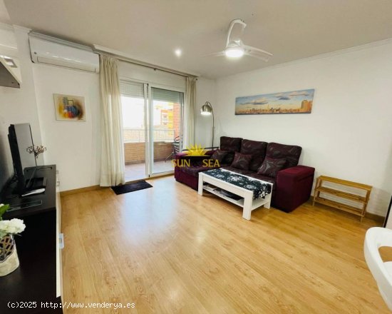 Apartamento en alquiler en Torrevieja (Alicante)