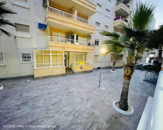 Apartamento en alquiler en Torrevieja (Alicante)