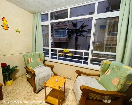 Apartamento en alquiler en Torrevieja (Alicante)