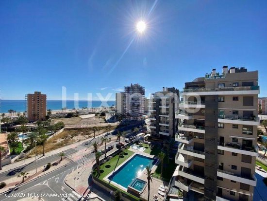 Apartamento en alquiler en Alicante (Alicante)