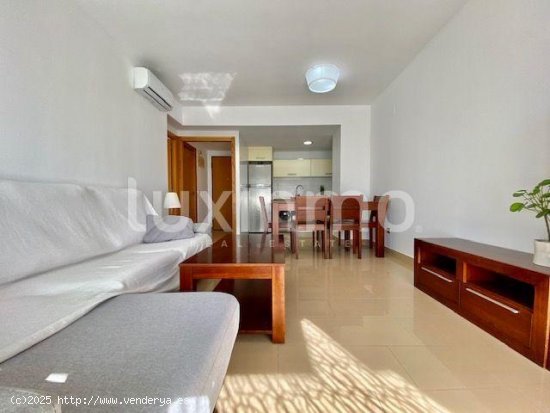 Apartamento en alquiler en Alicante (Alicante)