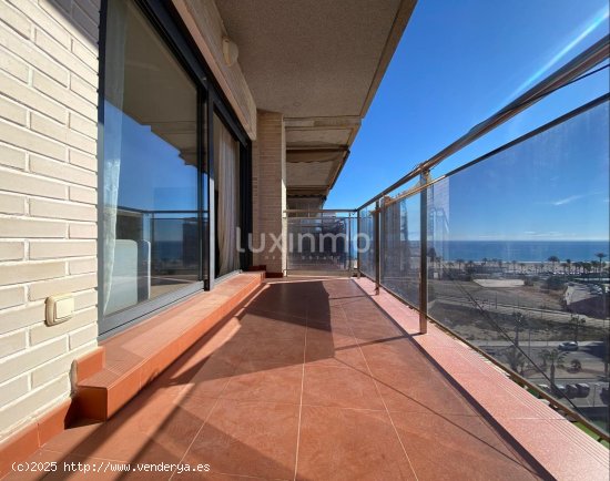 Apartamento en alquiler en Alicante (Alicante)