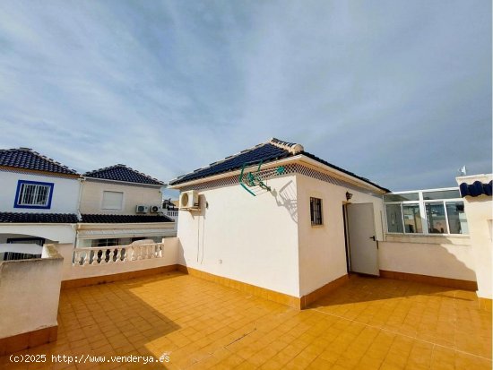 Villa en venta en Torrevieja (Alicante)