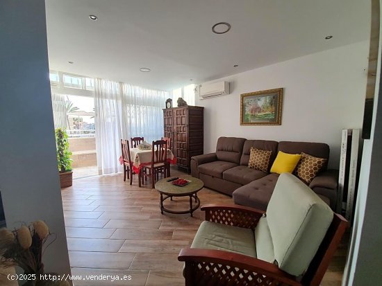  Apartamento en alquiler en Arona (Tenerife) 