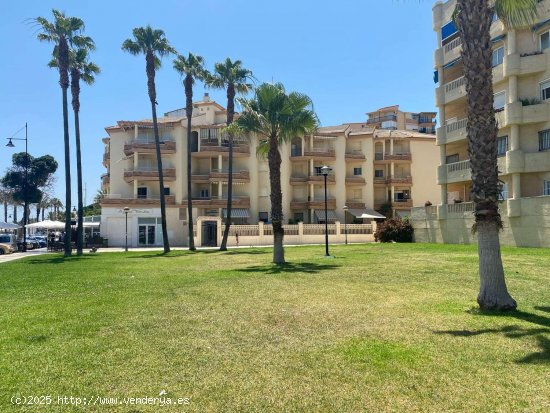 Apartamento en alquiler en Torremolinos (Málaga)