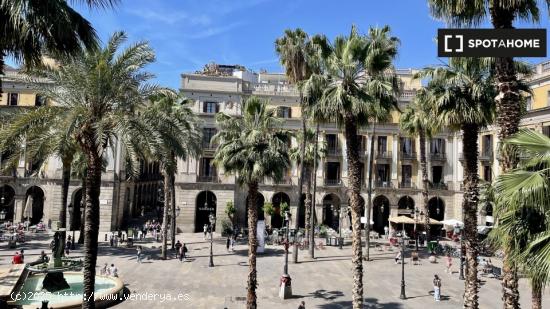 Alquiler de habitaciones en piso de 4 dormitorios en Barrio Gótico - BARCELONA