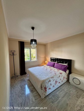 Apartamento en alquiler en Marbella (Málaga)