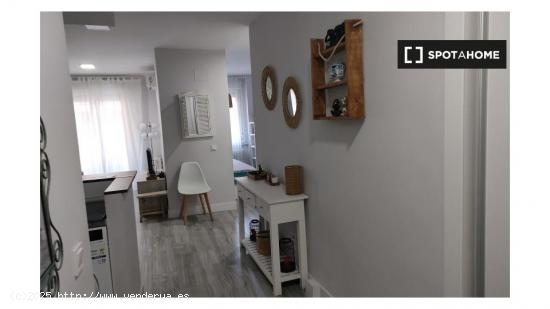 Apartamento entero de 1 habitaciones en Madrid - MADRID