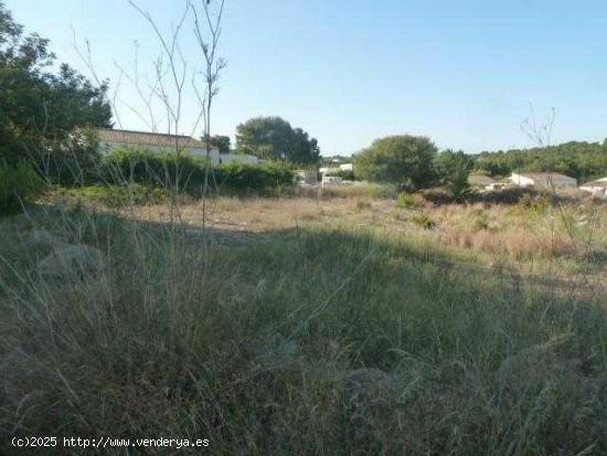 TERRENO URBANO EN VENTA EN TORRENT. OPORTUNIDAD PARA AUTÓNOMOS Y EMPRESAS!!! - VALENCIA